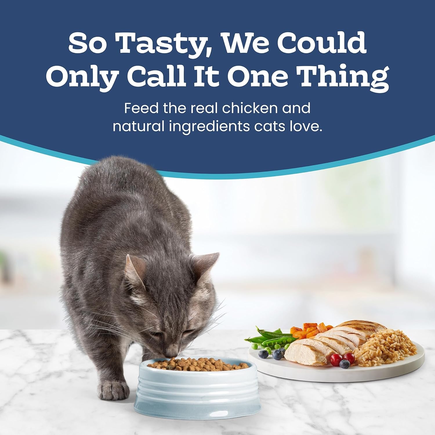 Indoor Health Natural Adult Dry Cat Food