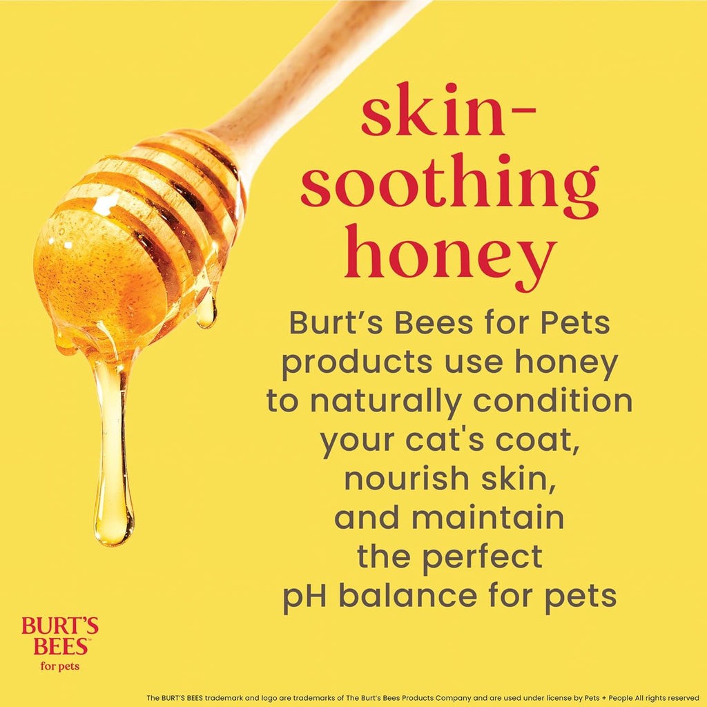 Cat Hypoallergenic Shampoo with Shea Butter & Honey | Moisturizing & Nourishing Cat Shampoo | Cruelty, Sulfate & Paraben Free, Ph Balanced for Cats - Made in USA, 10 Oz - 2 Pack